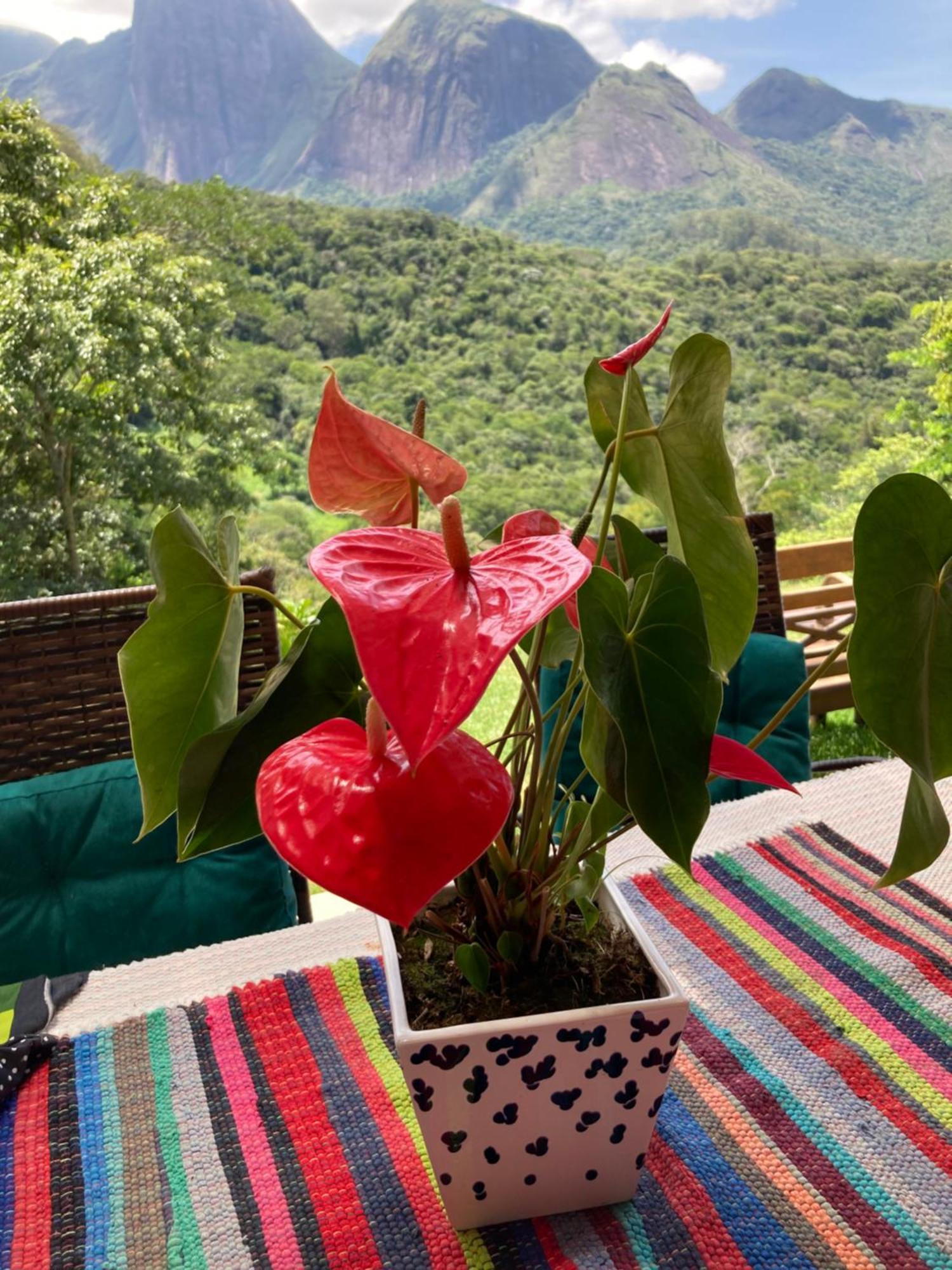 A Cabana Mais Bucolica De Araras Petrópolis 外观 照片